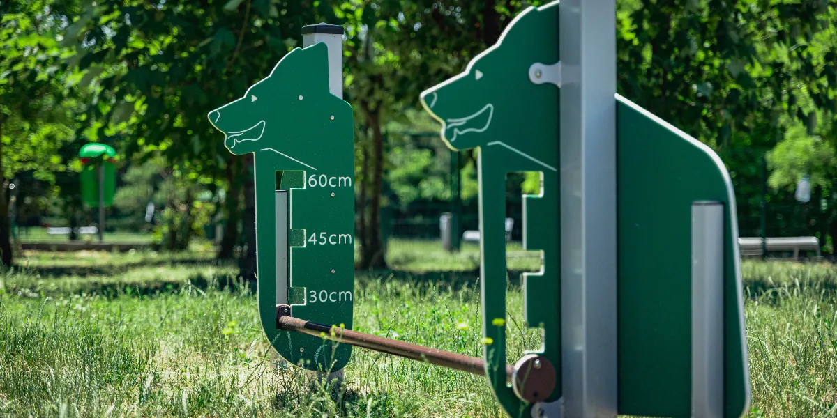 kutyafuttató eszközök Buglo