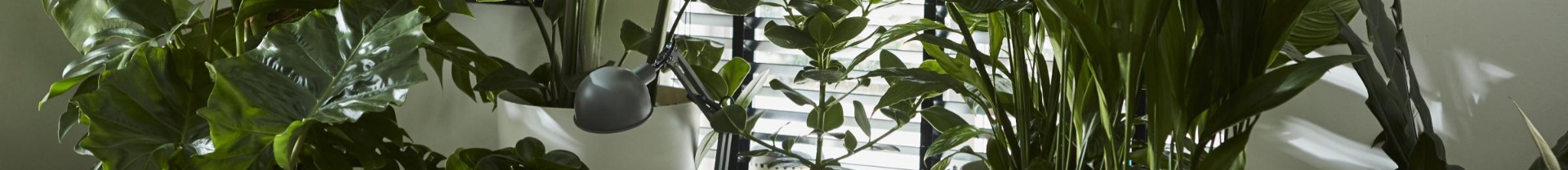 Kertészeti trendek – 2021