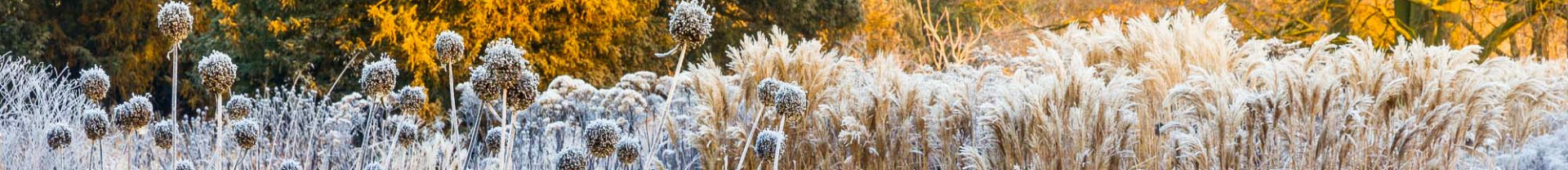 Télkert - hóimádók kertépítészeti irányzat