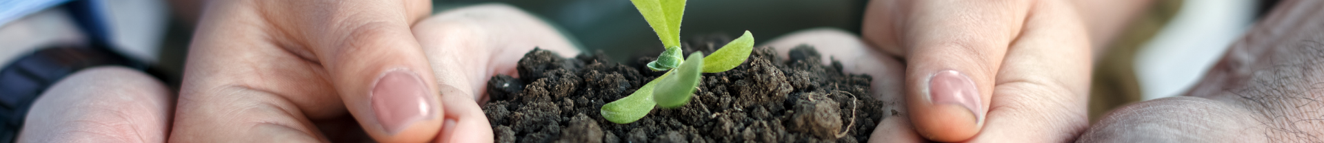 Kinek ajánljuk a 100% vegyszermentes gyomirtó megoldást?