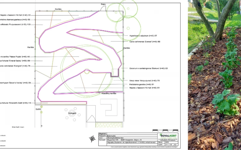 Bakonybél – meredek rézsűfelületen virágzó évelőágyak, automata öntözőrendszerrel