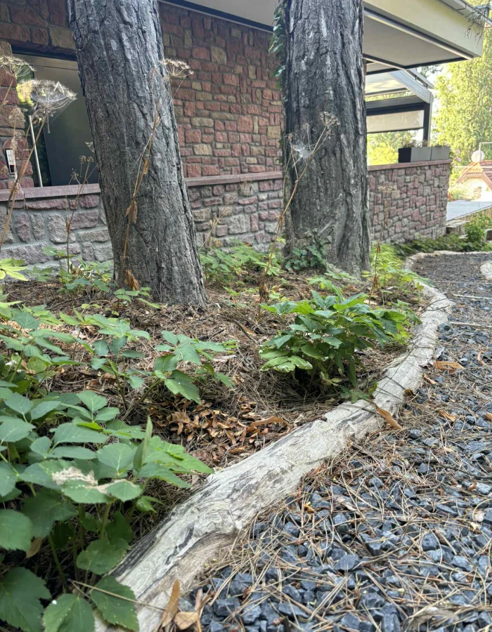 31e7a1c7-2347-4484-8ffc-d3407d8a5705