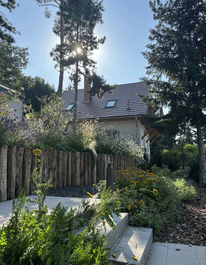 53b3e200-1ec1-4ac2-a9b0-420044d298ac