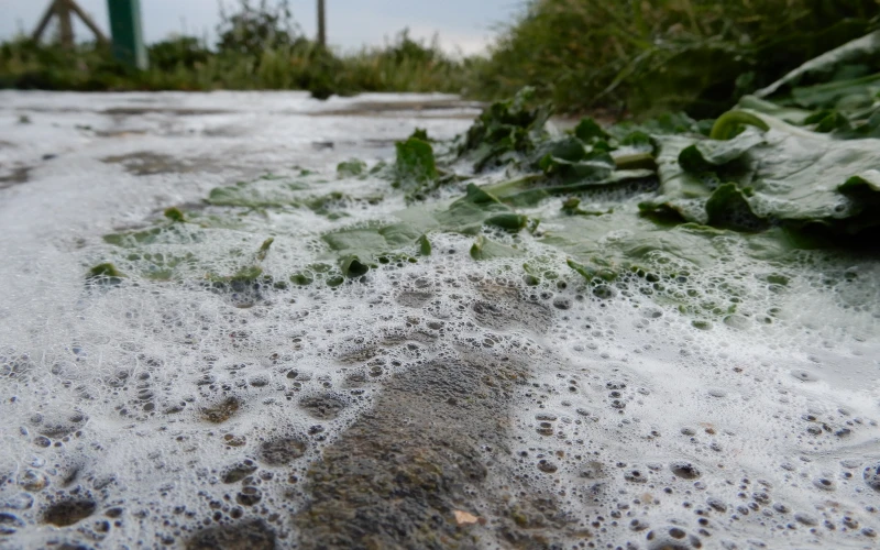 Foamstream működés közben és hatékonyság (17)