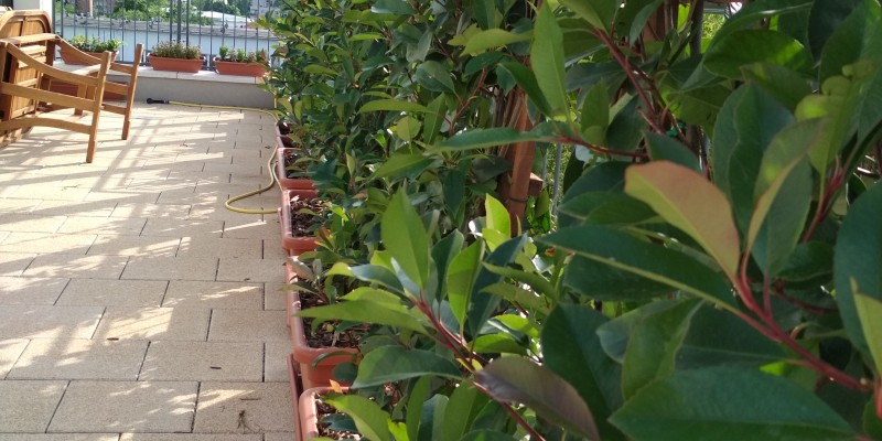 IMG_20190718_171831 (1)