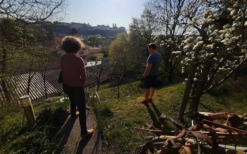 Minden kertépítés a felméréssel kezdődik....