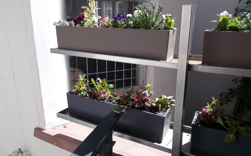 „Virágos balkonok, virágos kertek”