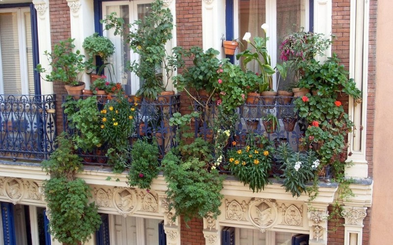 Forrás: www.janeperrone.com