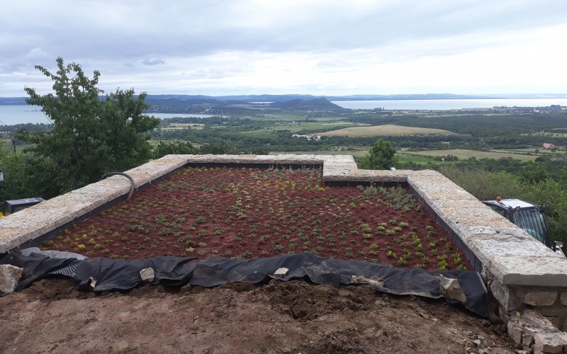 Zöldtető építés Balatonfüred