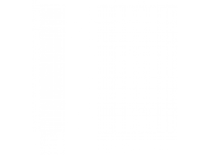 Ágaprító Negri R95T