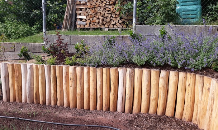 Csopak - Nagy gyepfelületek, virágzó rézsűk_2