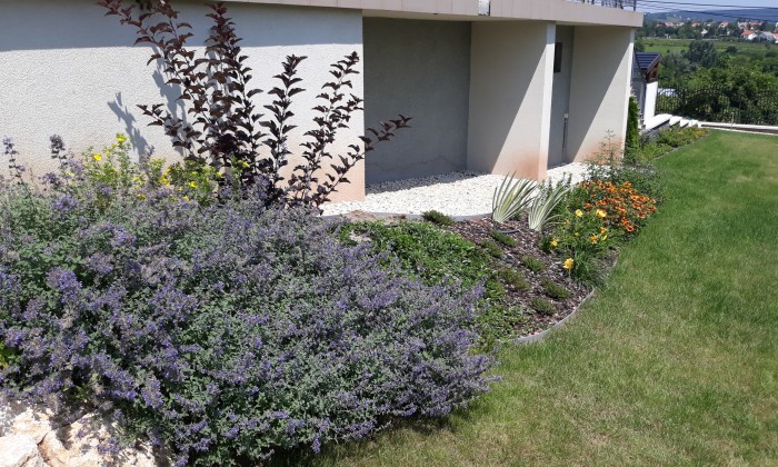 Csopak - Nagy gyepfelületek, virágzó rézsűk_3