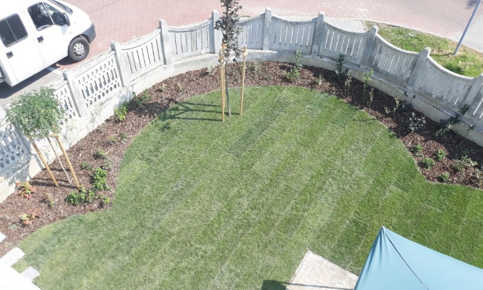 Veszprém - Zölddel keretezve alul-felül