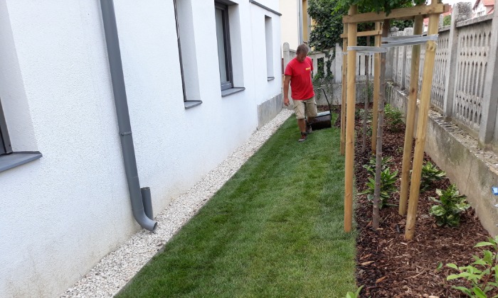 Veszprém - Zölddel keretezve alul-felül