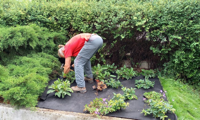 Veszprém – Kis kert, új kilátásokkal