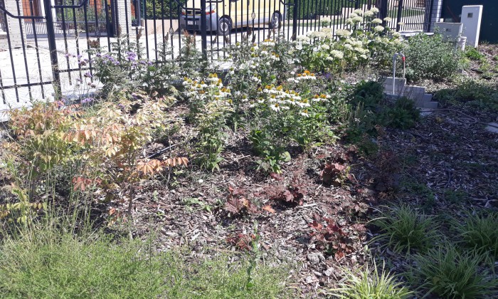 Balatonfűzfő - Robotfűnyíróhoz építve_3