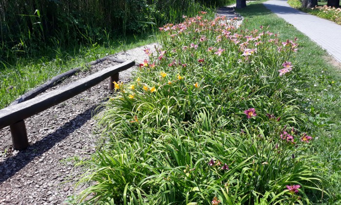 Csopak Ifjusag-setany 2015_2