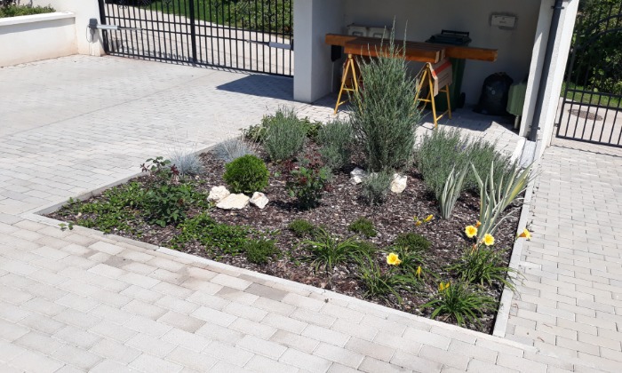 Csopak - Nagy gyepfelületek, virágzó rézsűk_7