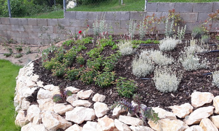 Csopak - Nagy gyepfelületek, virágzó rézsűk_1