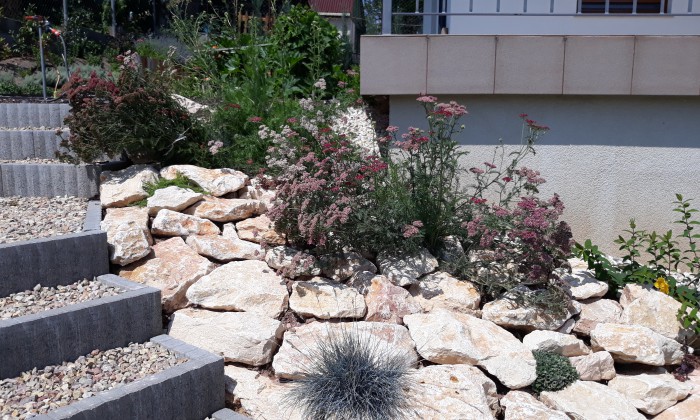 Csopak - Nagy gyepfelületek, virágzó rézsűk_6