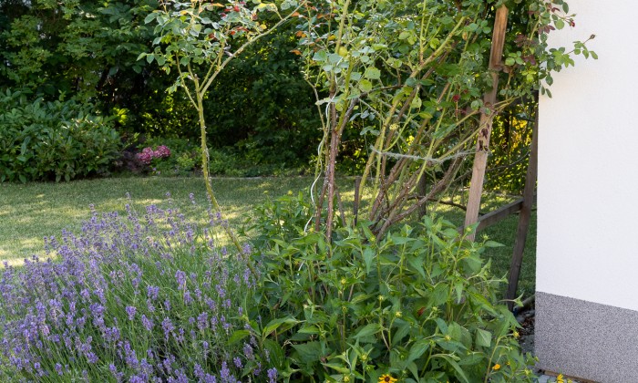 Balatonfűzfő - Robotfűnyíróhoz építve