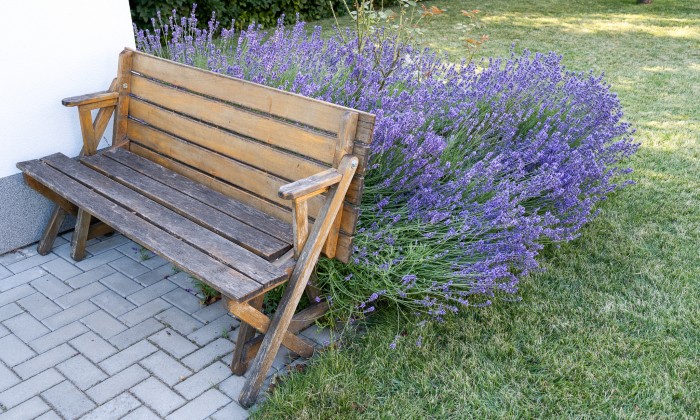 Balatonfűzfő - Robotfűnyíróhoz építve