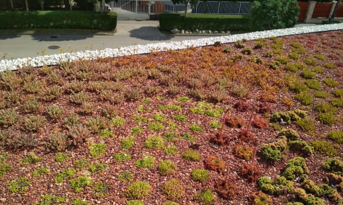 Veszprém - Zölddel keretezve alul-felül