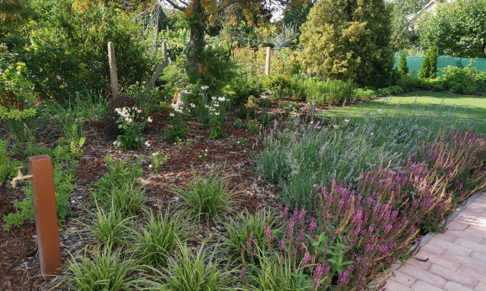 Balatoni kert minimális fenntartással