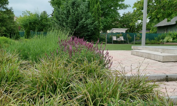 Balatoni kert minimális fenntartással