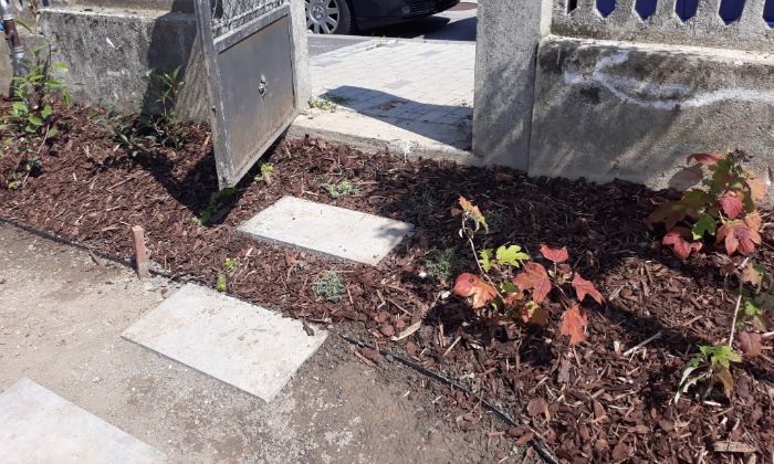 Veszprém - Zölddel keretezve alul-felül