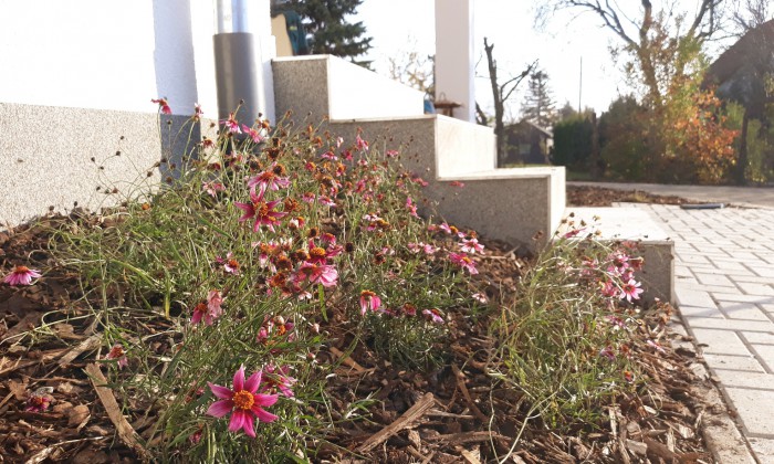 Balatonfűzfő - Robotfűnyíróhoz építve_17