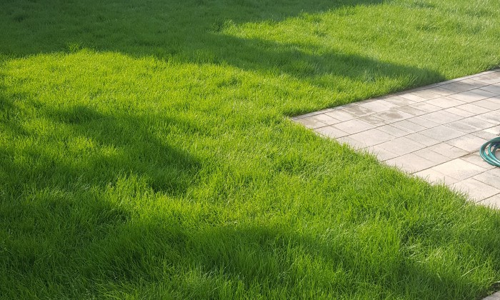 Balatonkenese - Kis kert nagy lehetőségekkel_5