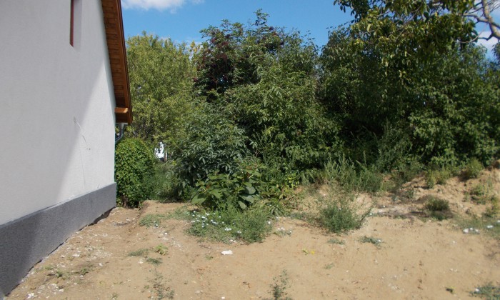 Balatonkenese - Kis kert nagy lehetőségekkel_7