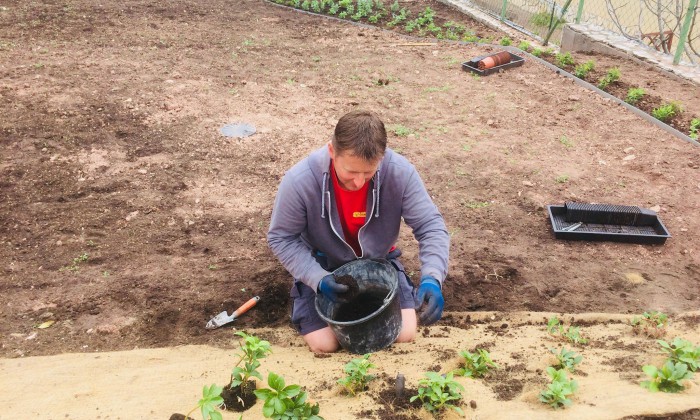 Csopak - Nagy gyepfelületek, virágzó rézsűk_12