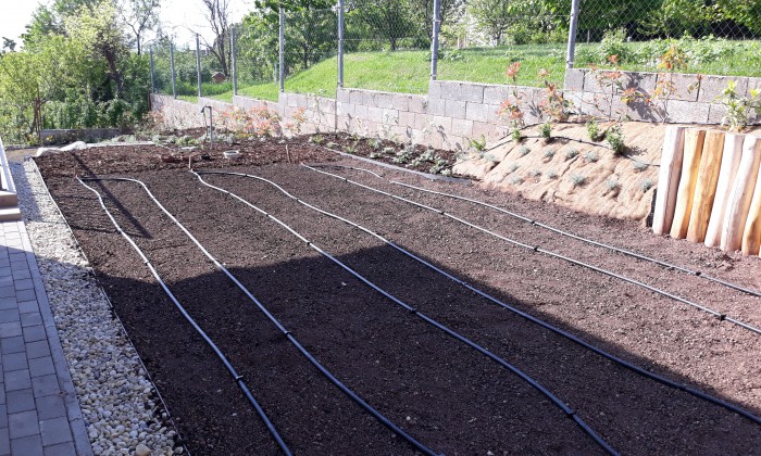 Csopak - Nagy gyepfelületek, virágzó rézsűk_15