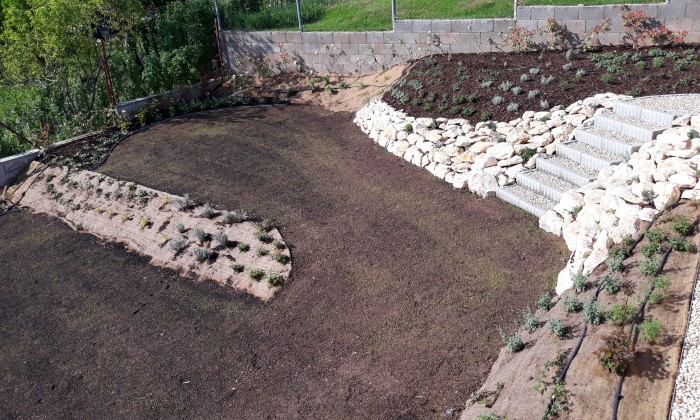 Csopak - Nagy gyepfelületek, virágzó rézsűk_18