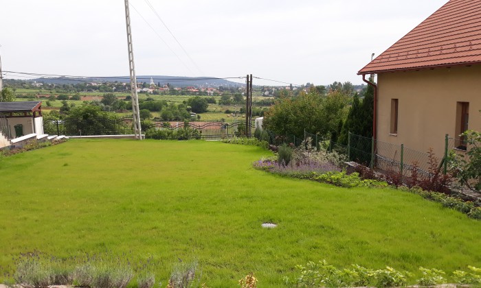 Csopak - Nagy gyepfelületek, virágzó rézsűk_19