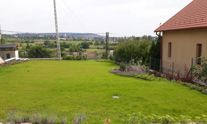 Csopak - Nagy gyepfelületek, virágzó rézsűk_19