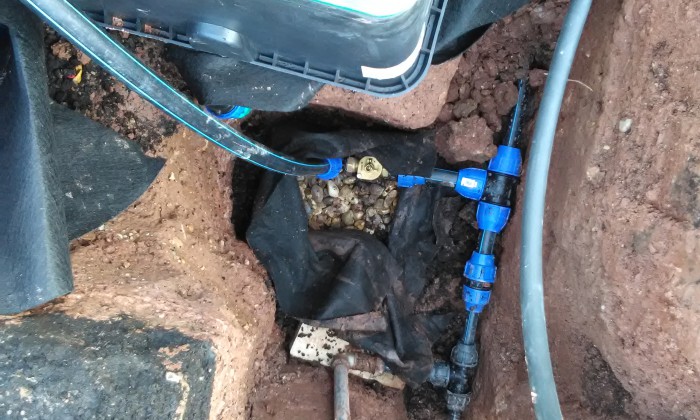 Csopak - Nagy gyepfelületek, virágzó rézsűk_5