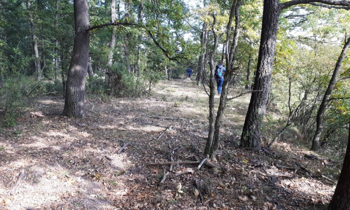 Darvastó - Tanösvény a volt bauxitbánya területén_3