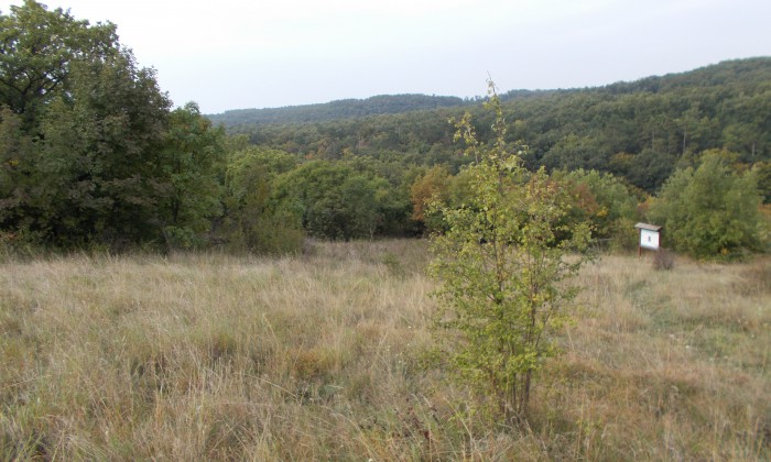 Felsőörs - Tanösvény a geológiai bemutatóhelyre_1