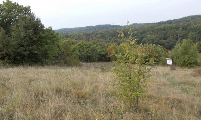 Felsőörs - Tanösvény a geológiai bemutatóhelyre_1