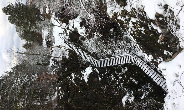 Úrkút - Tanösvény az őskarszt területén_5