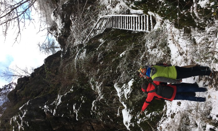 Úrkút - Tanösvény az őskarszt területén_7