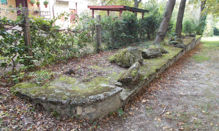 Várpalota - Tanösvény az egykori homokbányán át_1