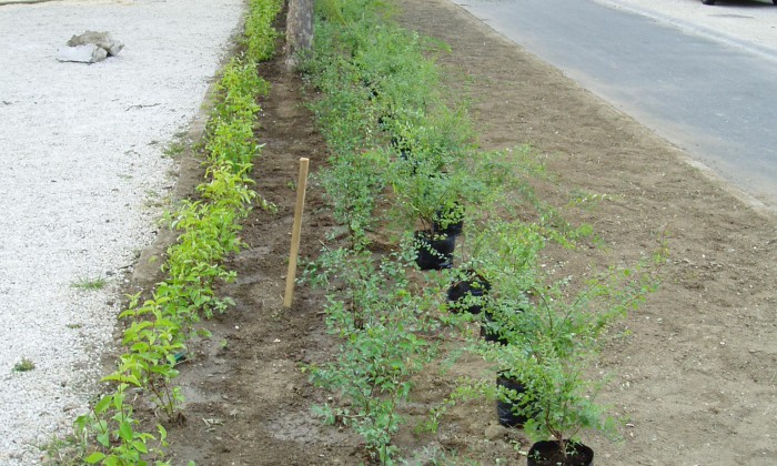 Veszprém - Családi pihenőpark játszótérrel_8