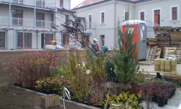 Veszprém, Eszterházy-udvar - Közösségi kert építése_8