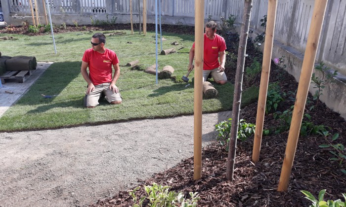 Veszprém - Zölddel keretezve alul-felül