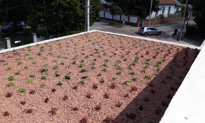 Veszprém - Zölddel keretezve alul-felül