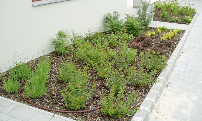 Veszprém, Eszterházy-udvar - Közösségi kert építése_0